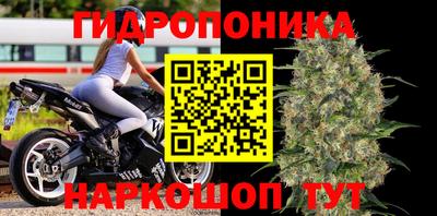 герыч Бердск